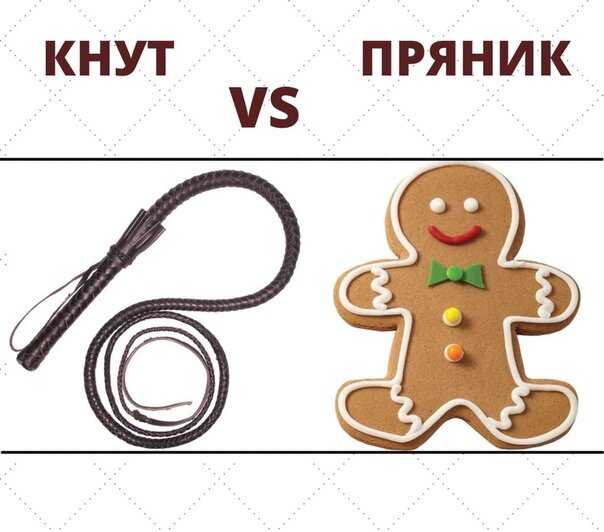 Почему «пряник» лучше «кнута»?. самоучитель мудрости, или учебник для тех, кто любит учиться, но не любит, когда его учат