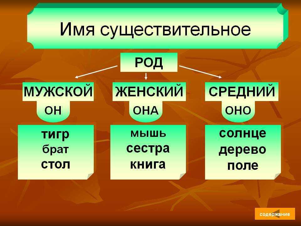 Авокадо он или оно: «авокадо спелый» или «спелое»? а «манго» какого рода?
