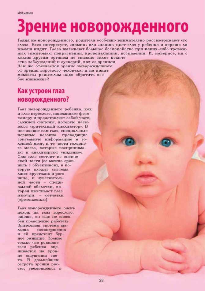 Конспект занятия для детей старшей группы «роль зрения в жизни человека». воспитателям детских садов, школьным учителям и педагогам - маам.ру