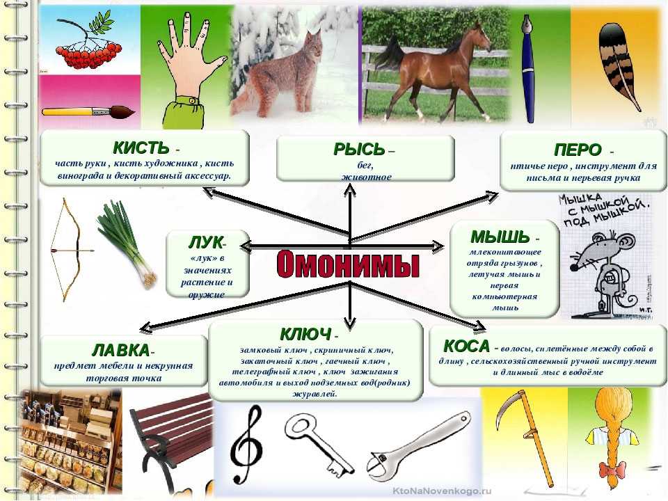 Что такое омофоны примеры.  омофония в русском языке
