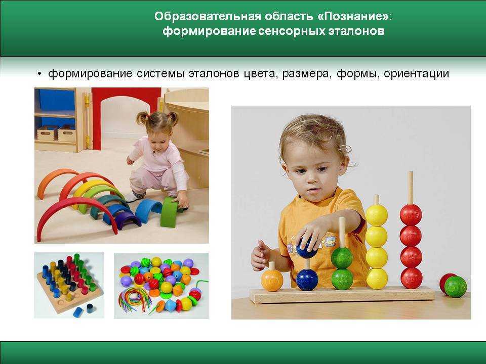 Сенсорное развитие детей раннего возраста (2-4 лет)