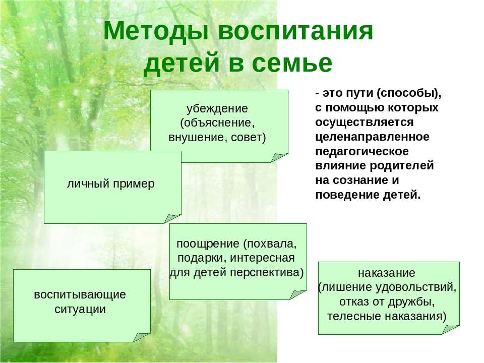 Педагогические методы воспитания не являются самоцелью а представляют собой пути достижения поставленных наставником целей и выработки у воспитанников заданных качеств
