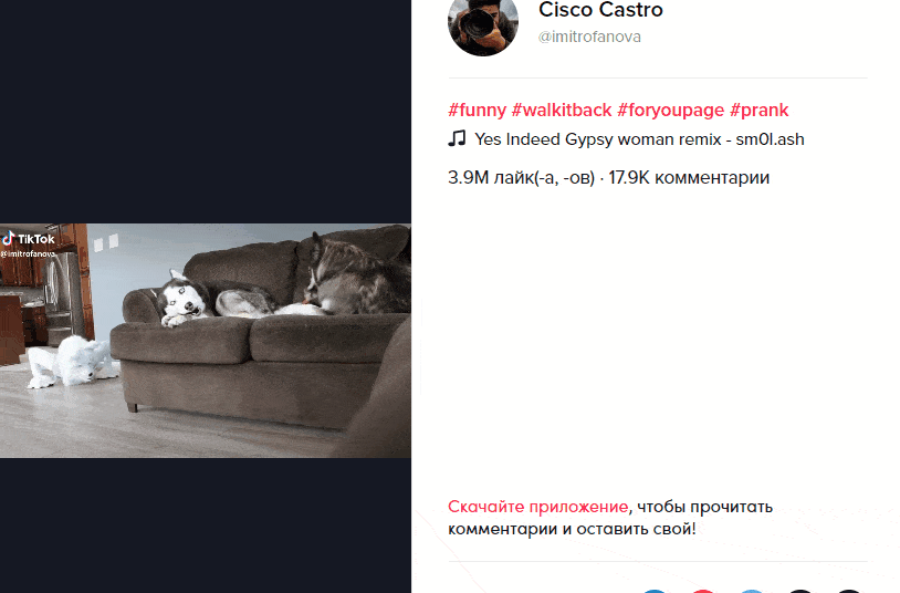 Изобретатели слов