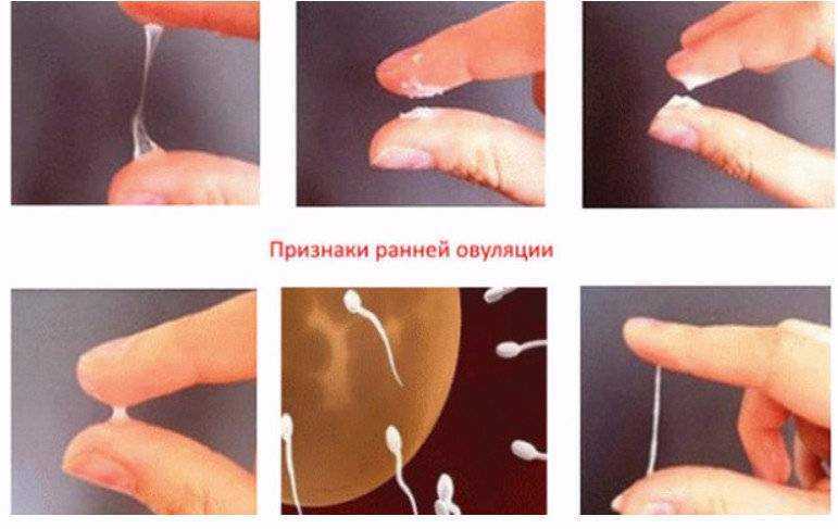 Различные выделения из половых путей у новорождённых девочек и девушек. нужно ли бить тревогу?