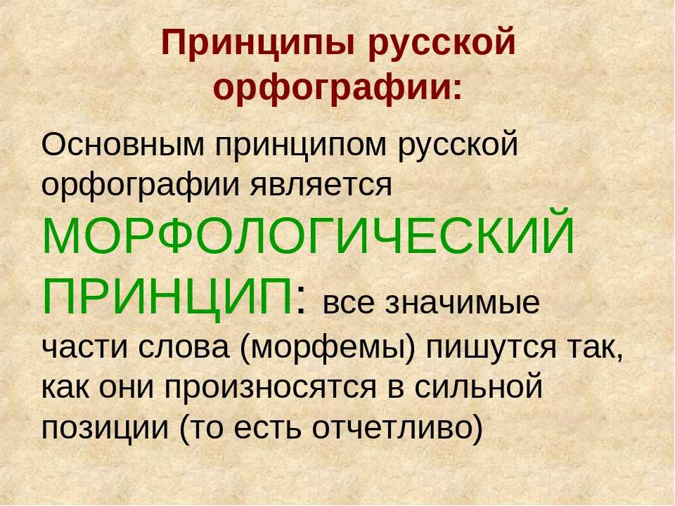 Вводные слова и наречия для егэ (6 видео) | история русского языка 📕