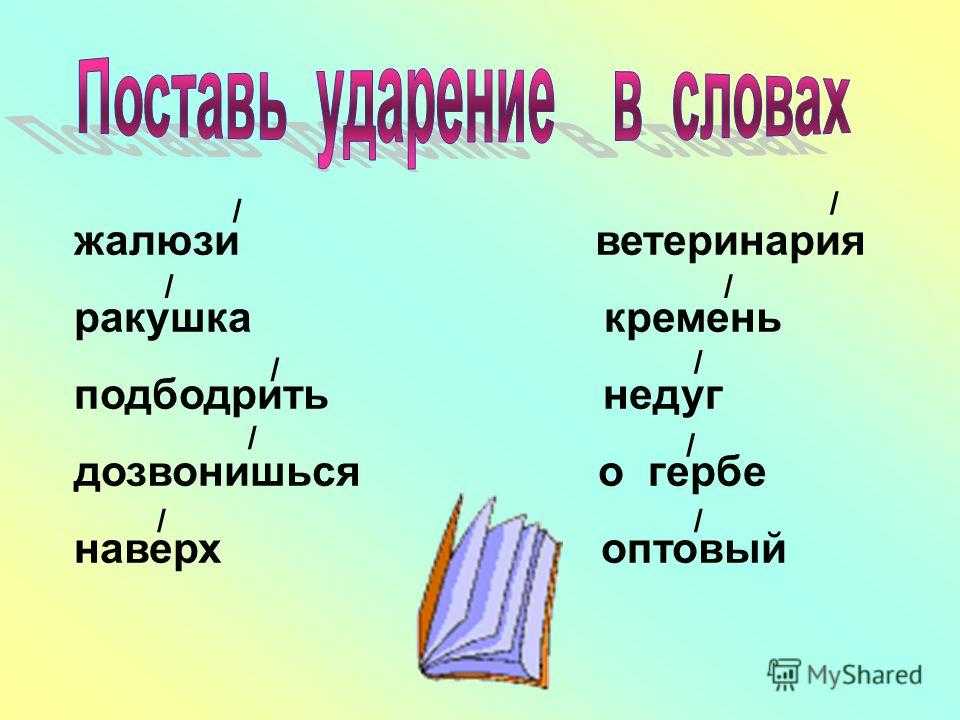 Как правильно и где ставить ударение в словах: определение на примере слов включит, закупорить, снята и облилась | tvercult.ru