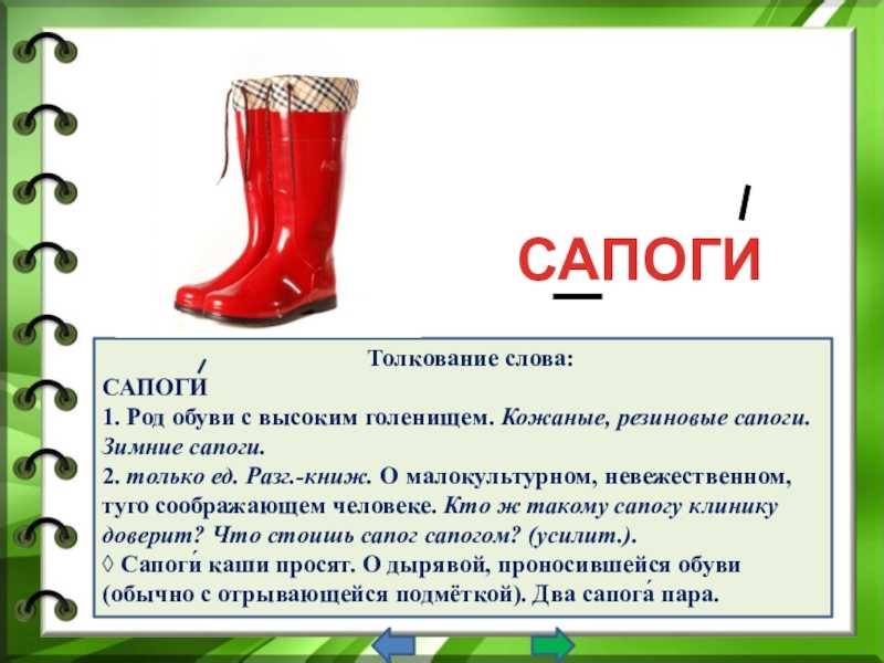 Как правильно: сапог или сапогов? — советы и рекомендации