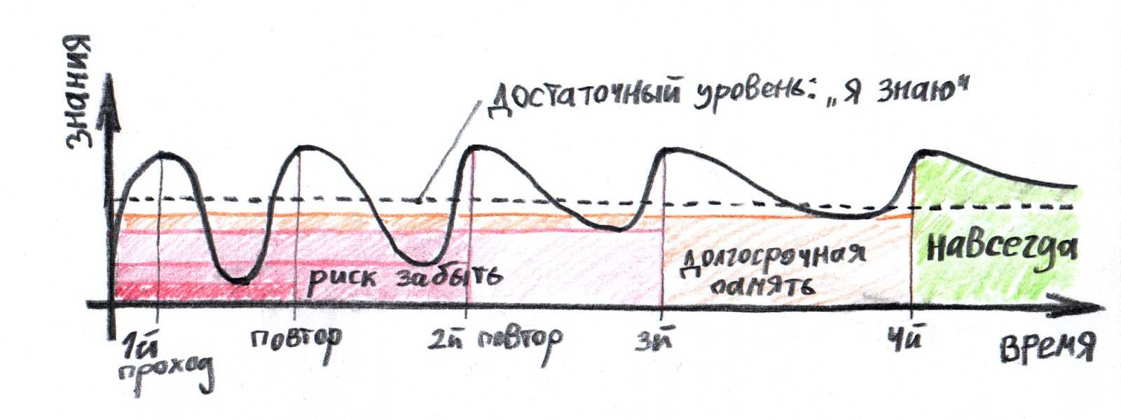 Кривая забывания эббингауза: как обмануть кривую запоминания и выучить информацию навсегда
