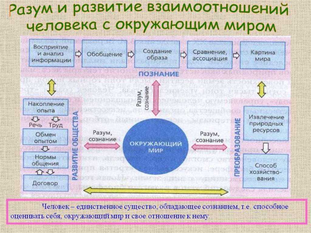 Сенсорная интеграция ребенка — клиника детской неврологии и реабилитации — neurospectrum