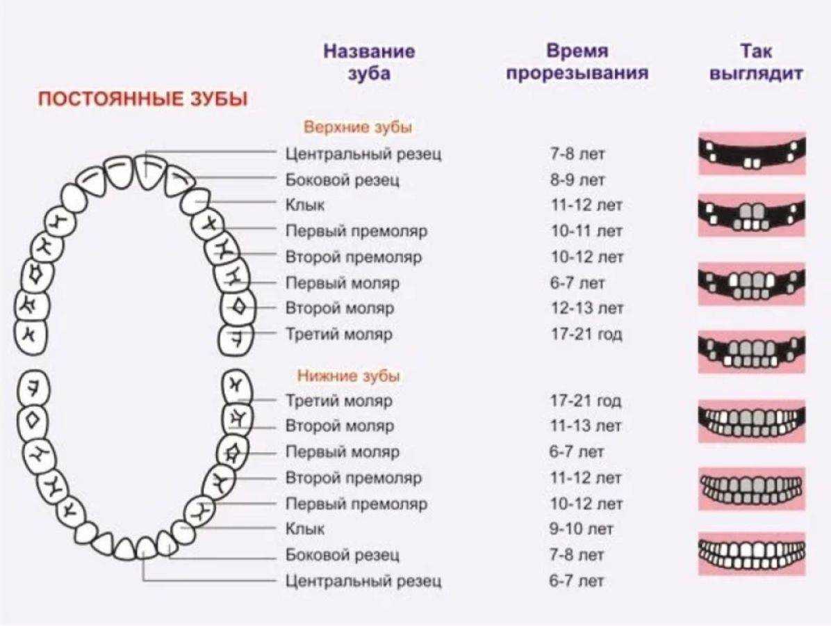 Укусы клопов у детей, чем опасны и как лечить -