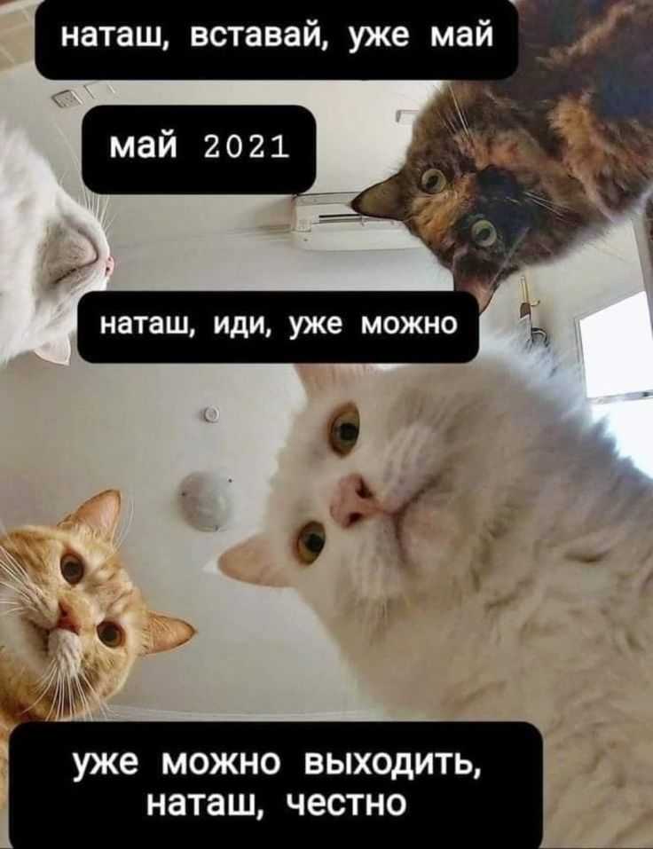 Как пишется: «поменьше» или «по меньше»?
