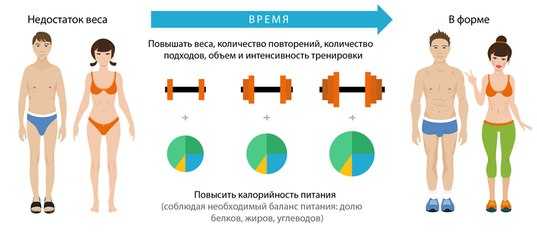 Набрать вес девушке побыстрее в домашних условиях — как быстро набрать вес девушке