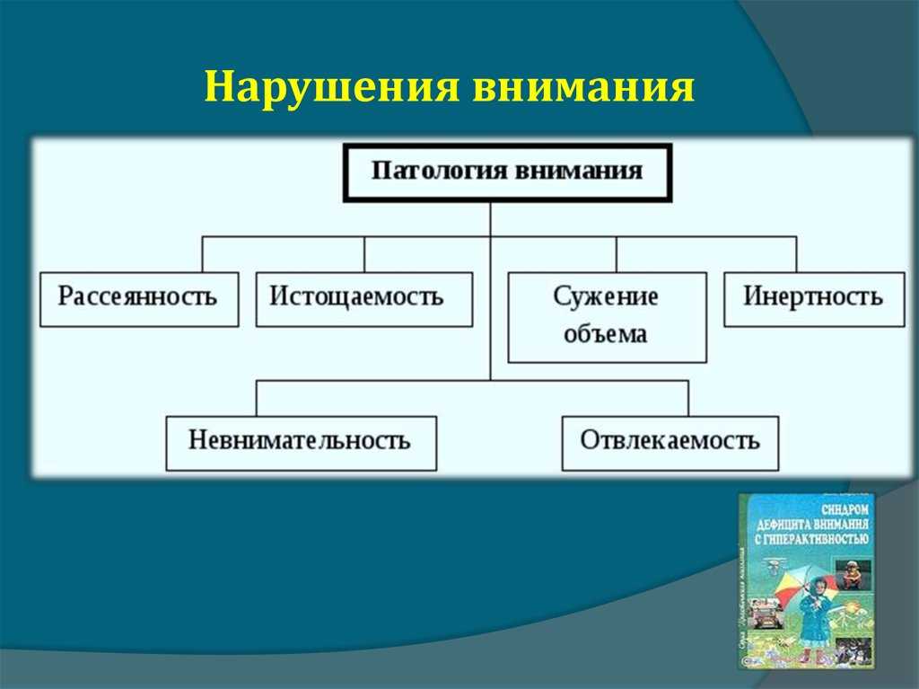Сдвг у ребенка - причины, симптомы, диагностика и лечение