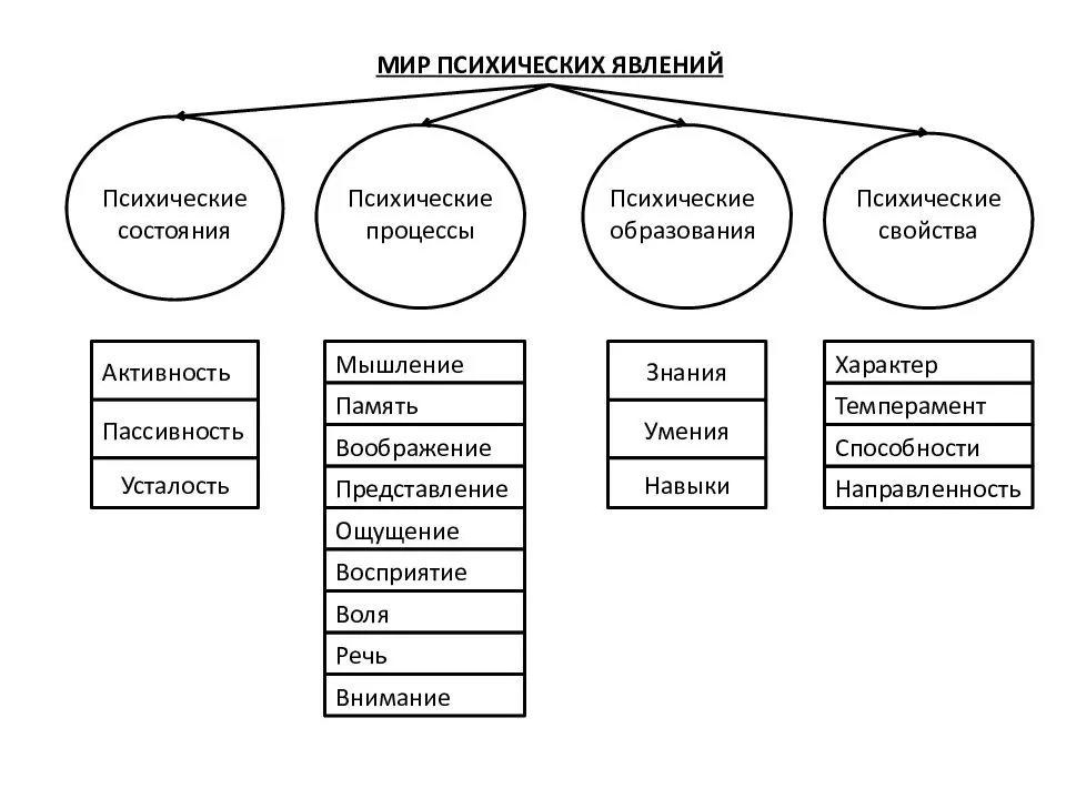 Речь, её функции и физиологические механизмы. речевые нарушения при повреждении различных зон мозга