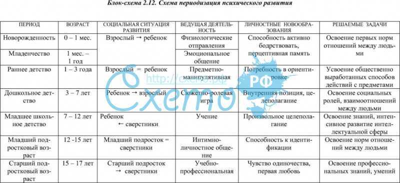 Возрастная периодизация