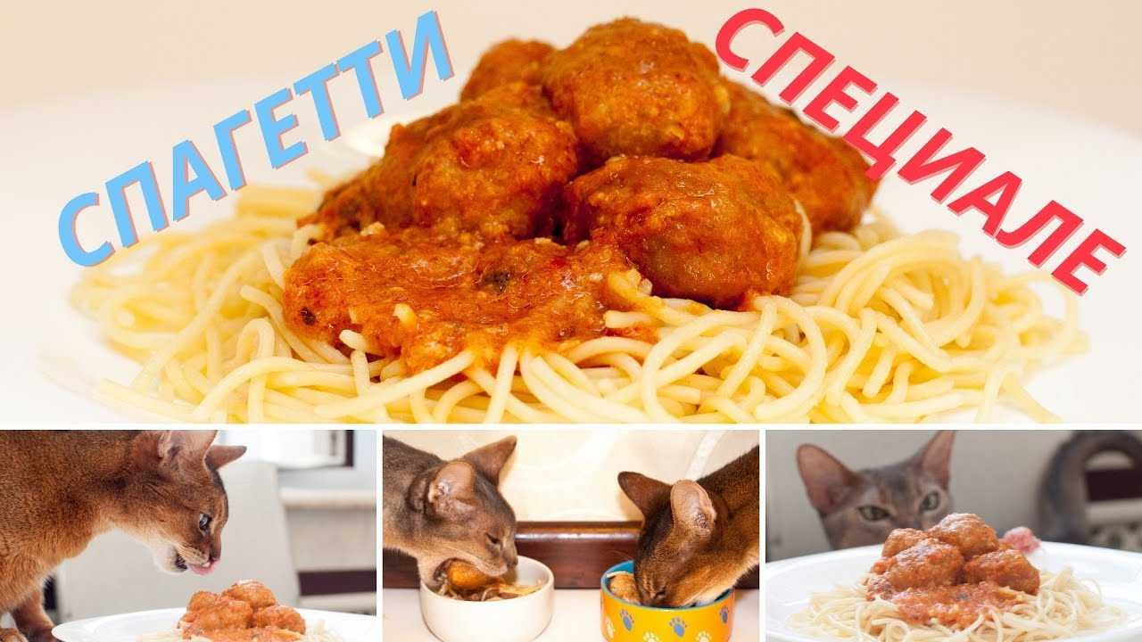 Макарны с сыром для ребенка от 1 года и страше