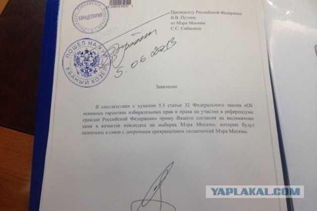 Правописание слова "врио": верная форма, правило, примеры употребления