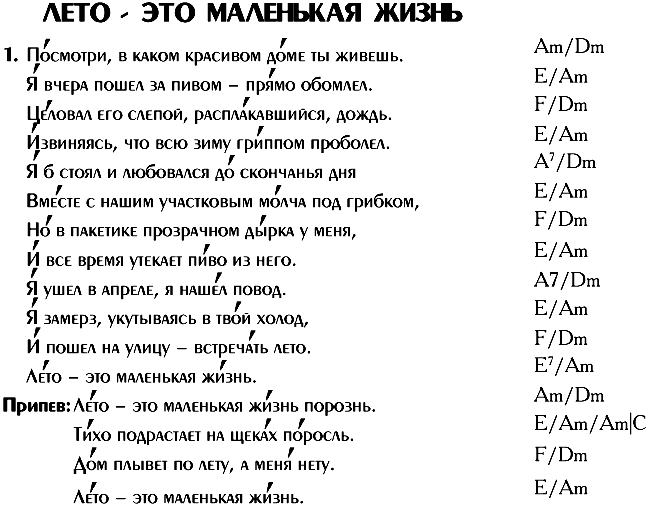Созвездие большой пёс