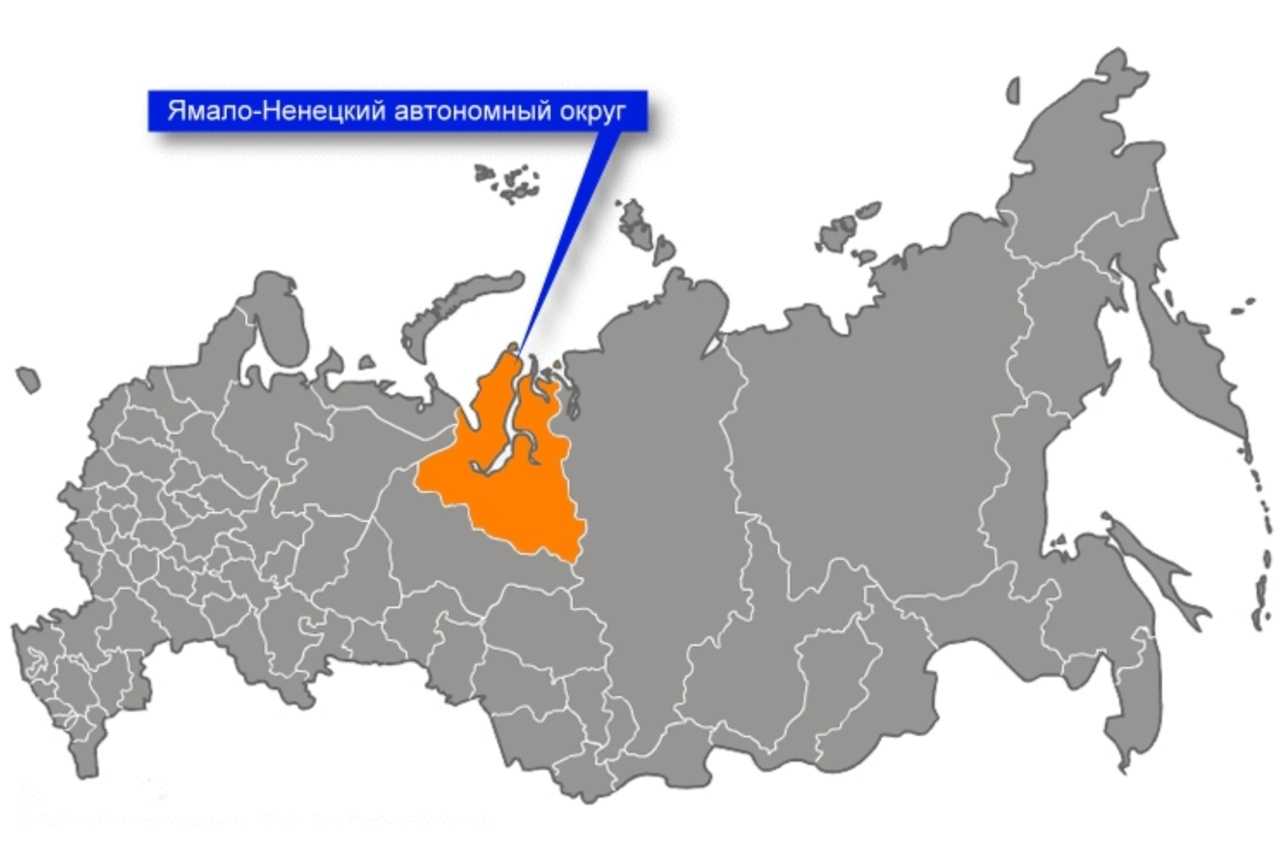 Ненецкий и ямало-ненецкий: отличия и сходства, разбираемся как правильно