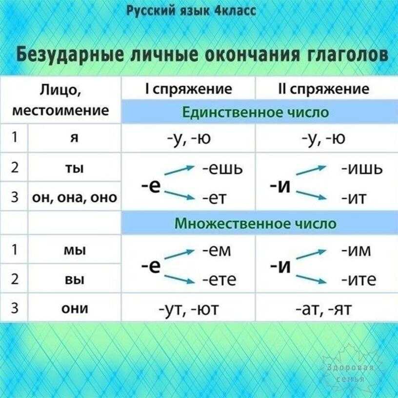 Обгрызанный или обгрызенный: как правильно пишется?