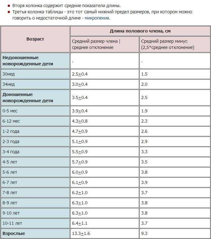 До какого возраста растет половой член?