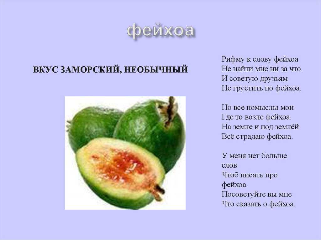 Насчёт этого зелёного ароматного плода с точки зрения русского языка может возникнуть не один вопрос Как пишется: фейхуа или фейхоа А как этот фрукт правильно охарактеризовать: свежее, свежий или свежая Ответ на второй вопрос может удивить