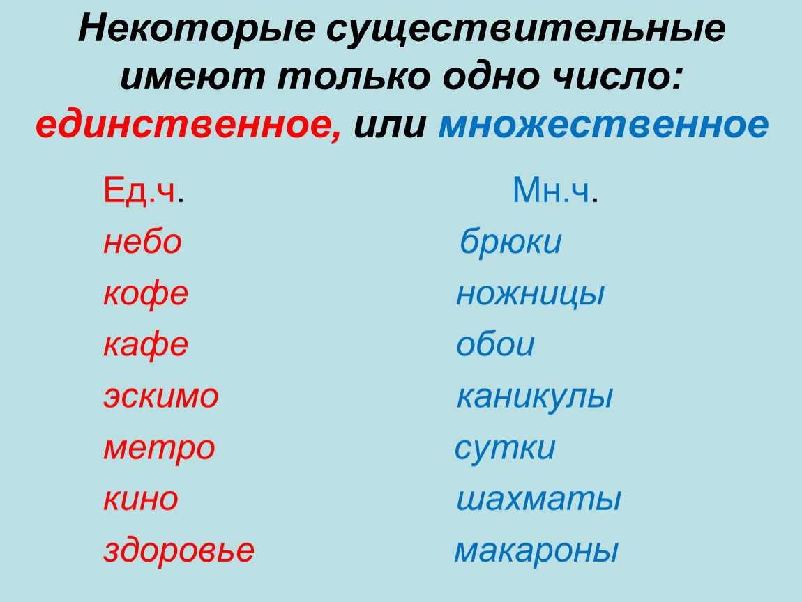 Метла во множественном числе ударение