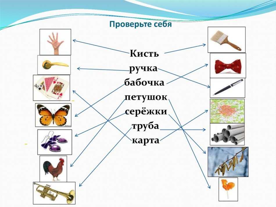 Паронимы: что это такое, классификация, примеры