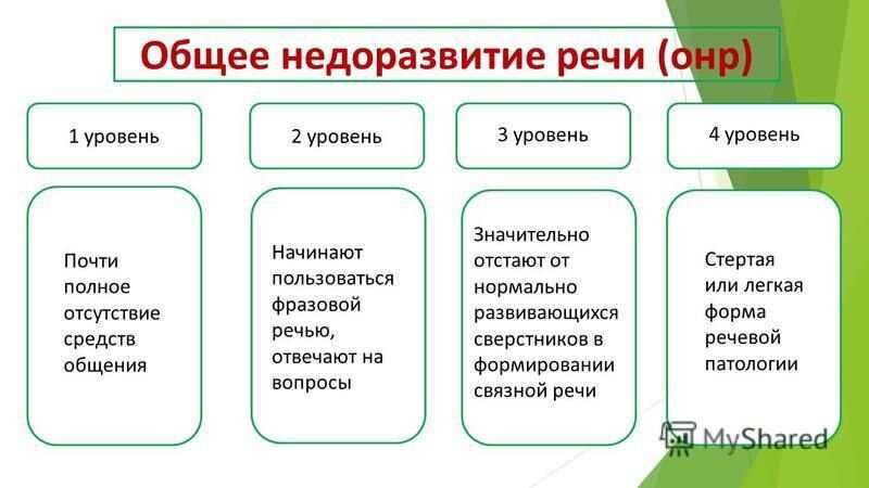 Общее недоразвитие речи.