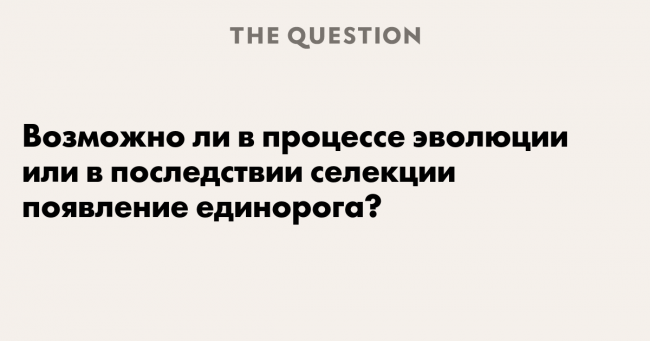 В последствии или впоследствии — как правильно использовать эти слова