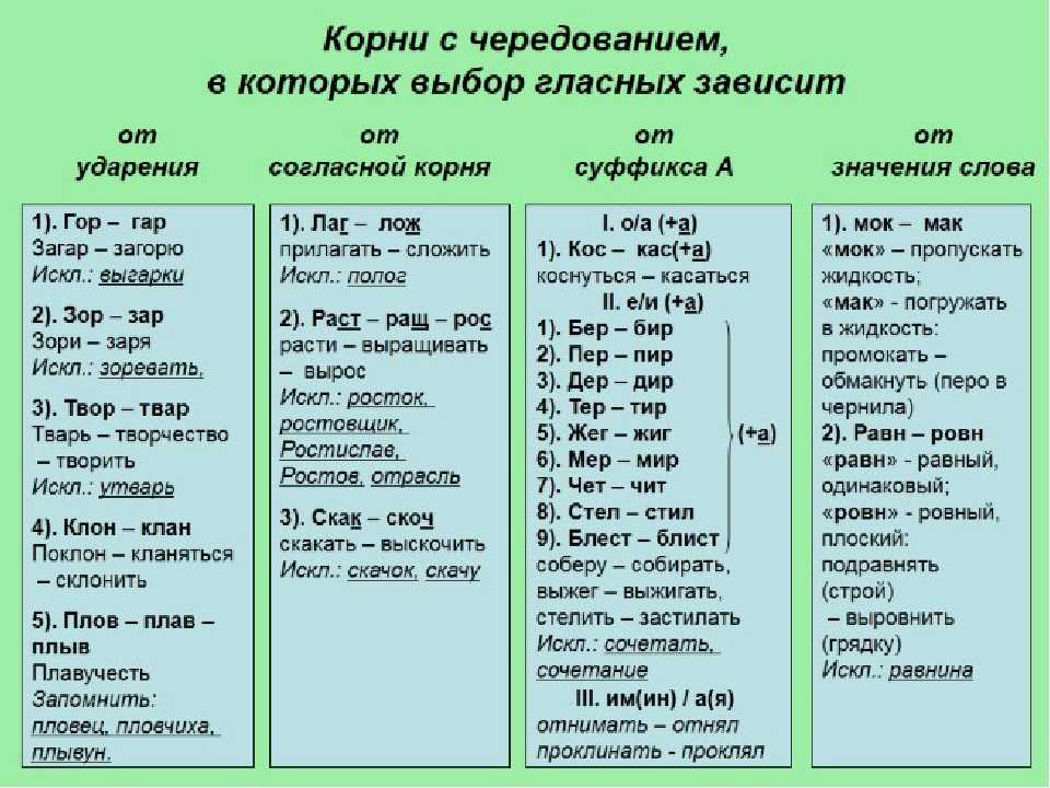 Правописание чередующихся гласных в корне слова (упражнения и тест)