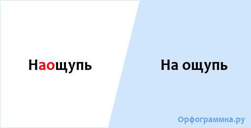 Правила и разъяснения: как правильно писать на ощупь или наощупь