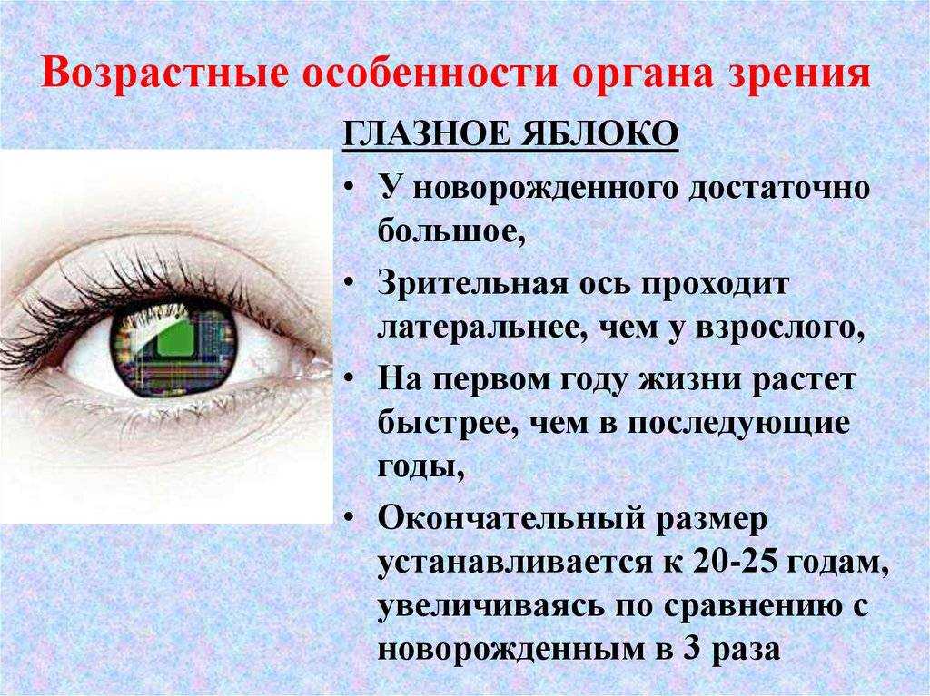 Возраст и зрение: особенности зрения у людей в разном возрасте