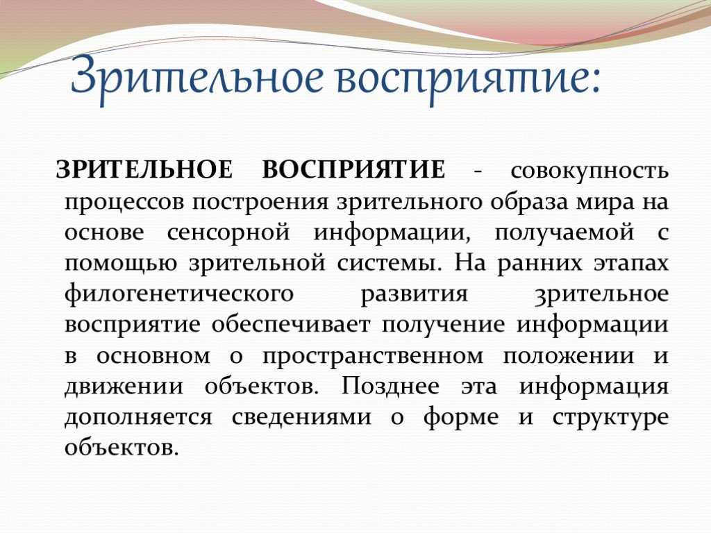 Что такое зрительное восприятие: основные принципы и механизмы