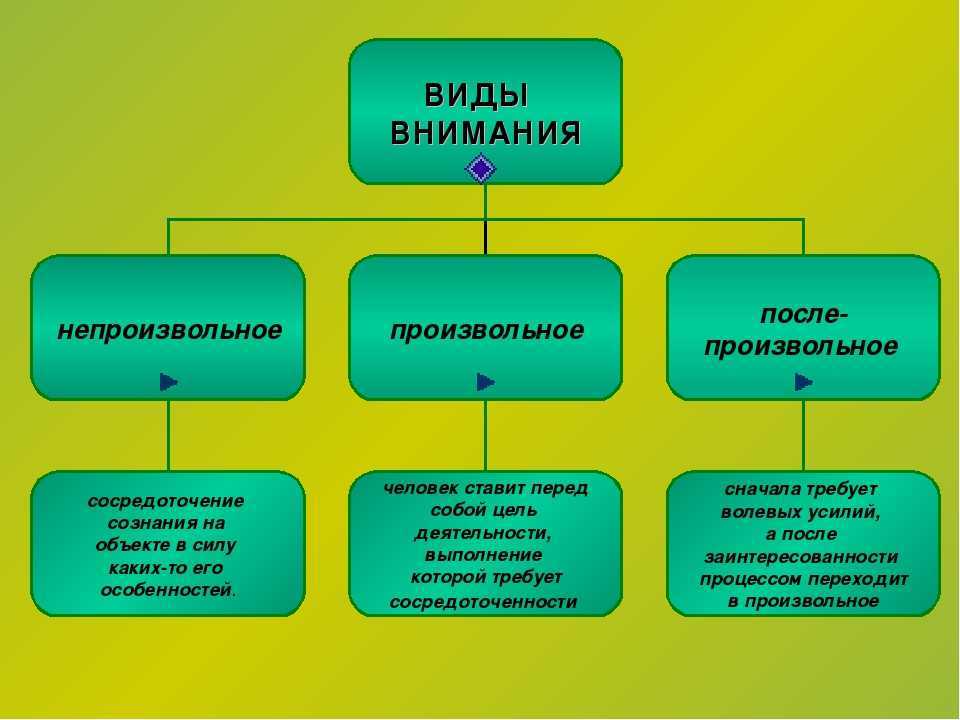 Тренировка внимания у младших школьников с помощью упражнений