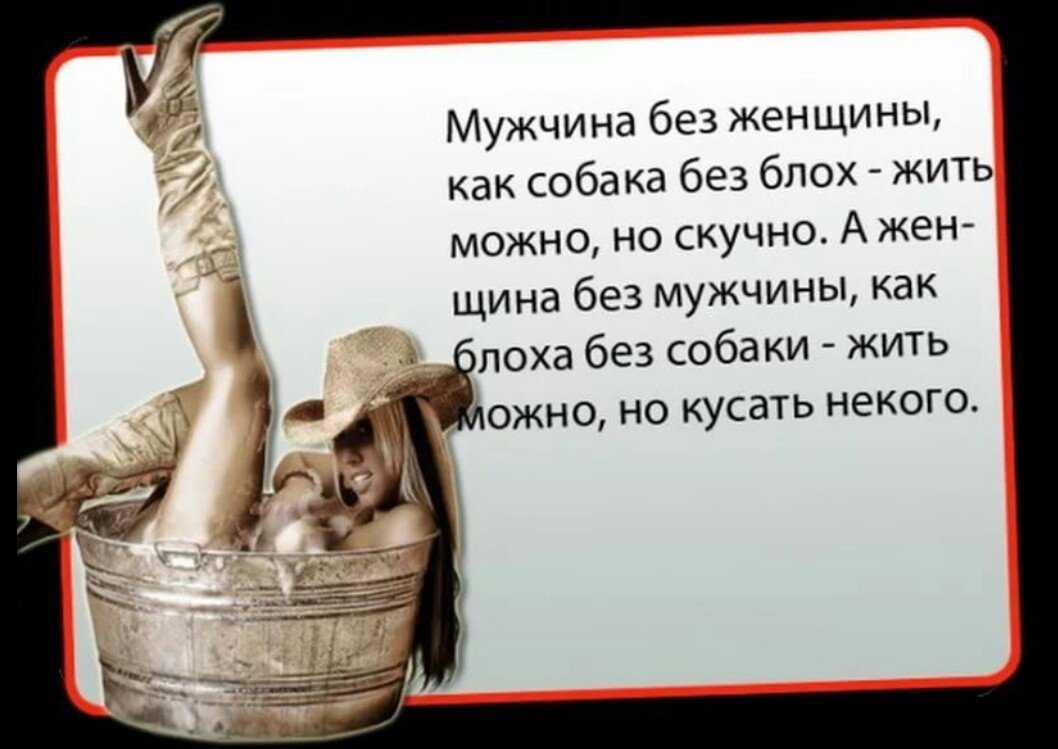 Зашквар, лойс, рофлить, троллить, фейк, фейспалм, хайп, хейтить, экшен, эщкере - трендовые фразы подростков-школьников