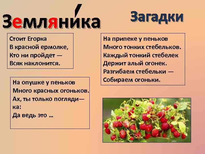 Сочный круглый яркий вкусный ароматный что это? загадки про фрукты и ягоды