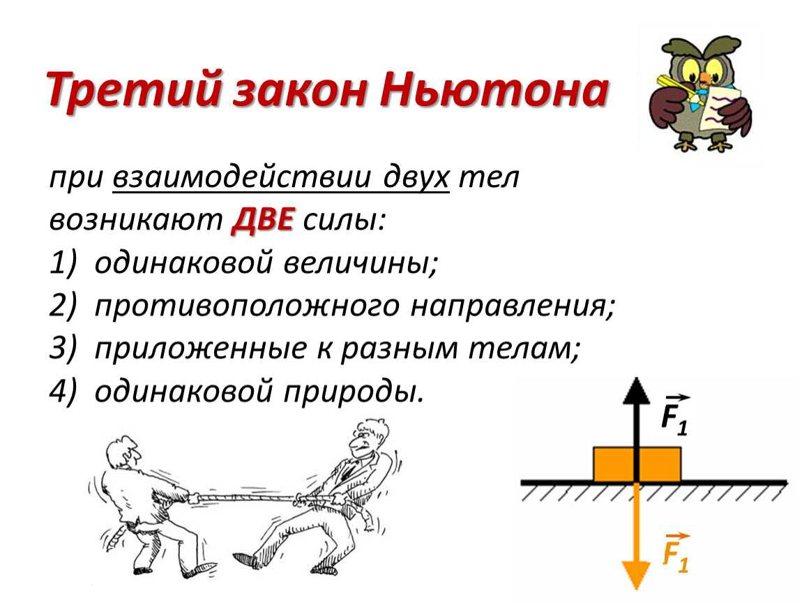 Ньютон или ньютон: как правильно ставить ударение?