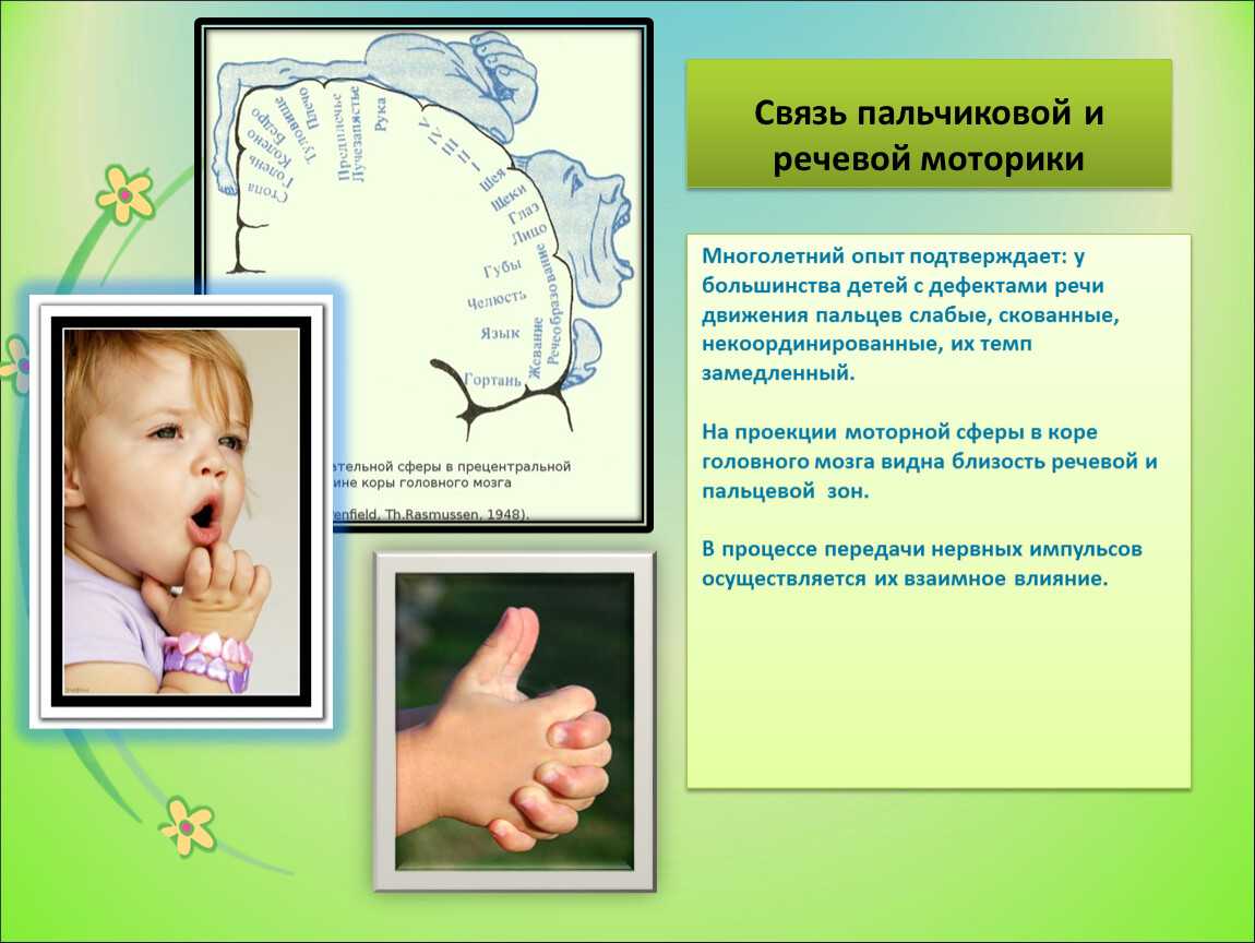 Под выражением мелкая моторика физиологами подразумевается движение мелких мышц кистей рук