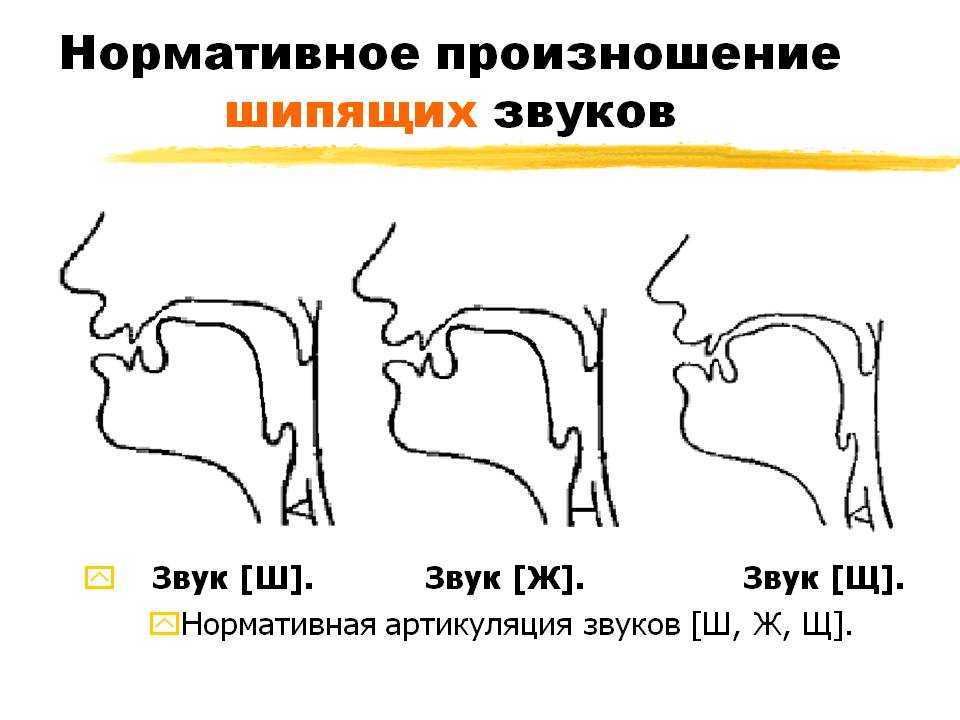 Постановка звука ш: причины отклонений в речи, упражнения