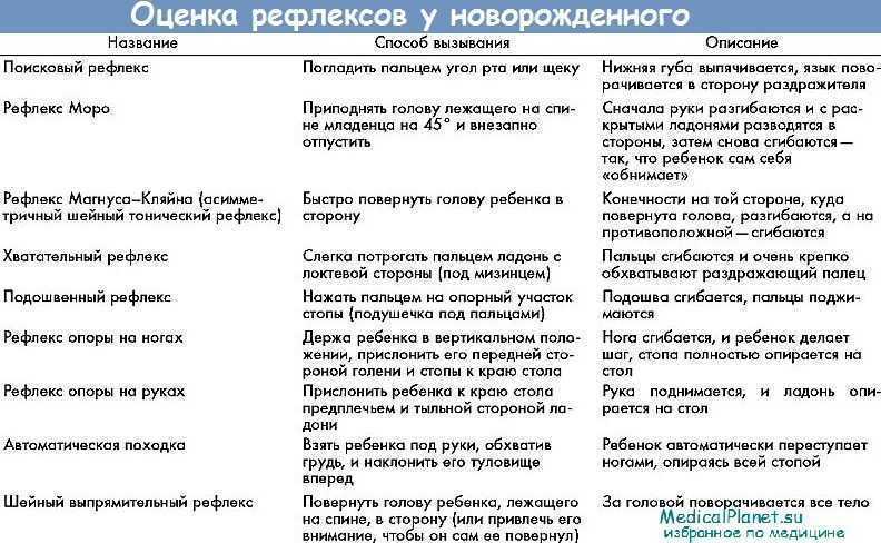 Рефлексы новорожденного. ваш малыш от рождения до двух лет