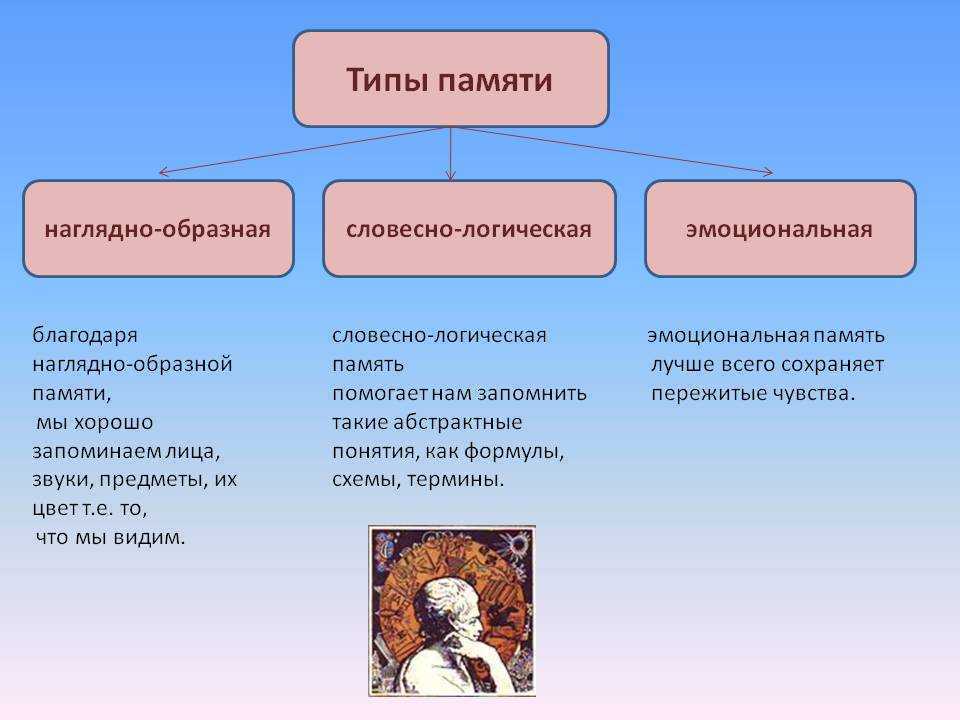 Упражнения для развития памяти у дошкольников | блог 4brain