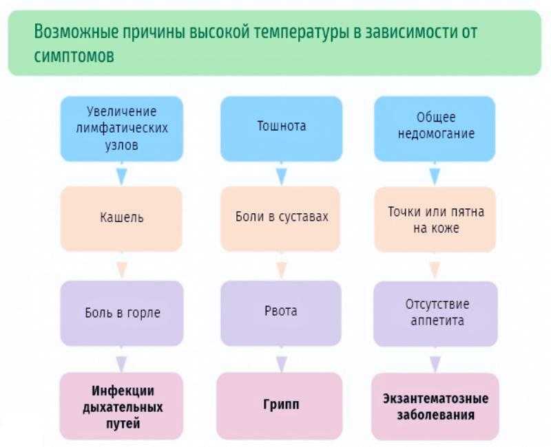 Онкология: что такое рак? понятие онкологического заболевания, причины возникновения злокачественных новообразований | клиники «евроонко»