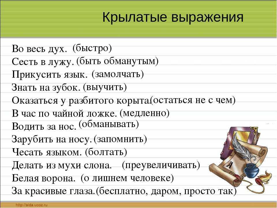 Галлицизмы в нашей речи