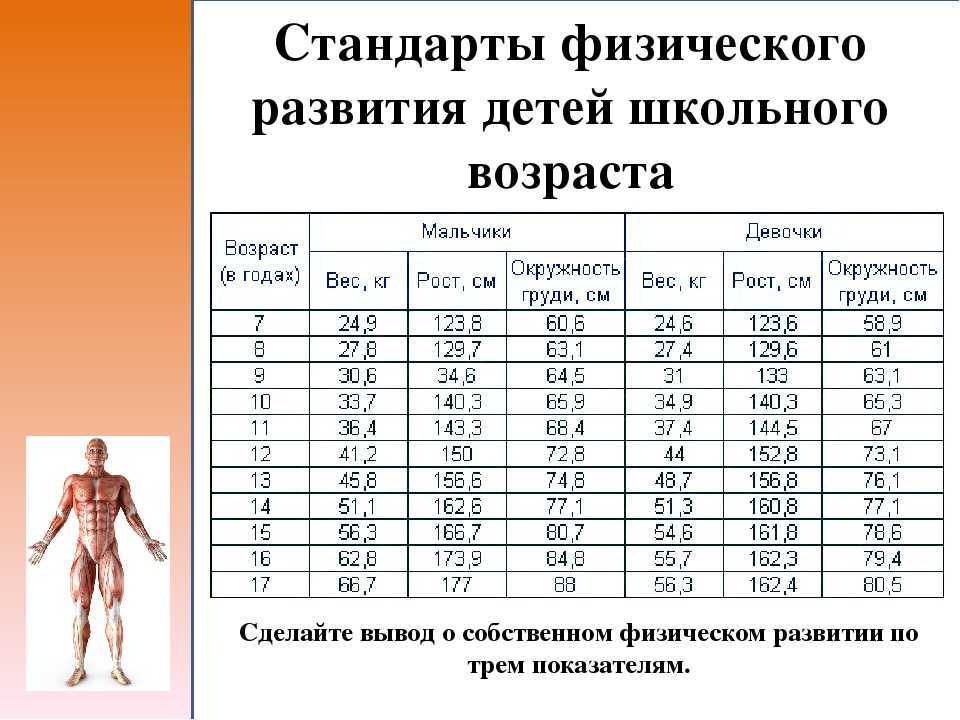 Физическое воспитание детей дошкольного возраста. курсовая работа (т). педагогика. 2012-09-24