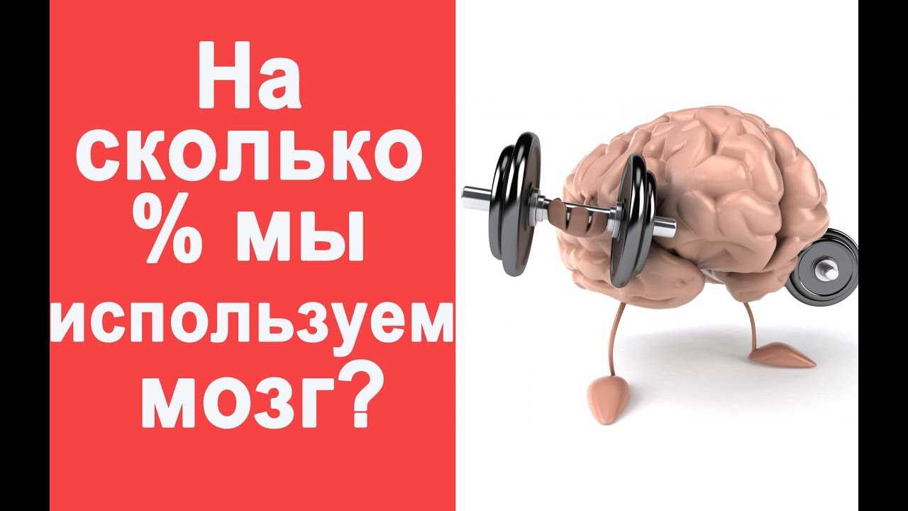 Сколько процентов мозга использует человек? - brainapps.ru