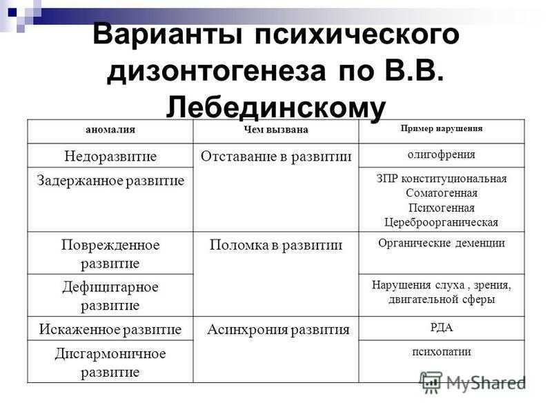 Мыслительные процессы в умственном развитии