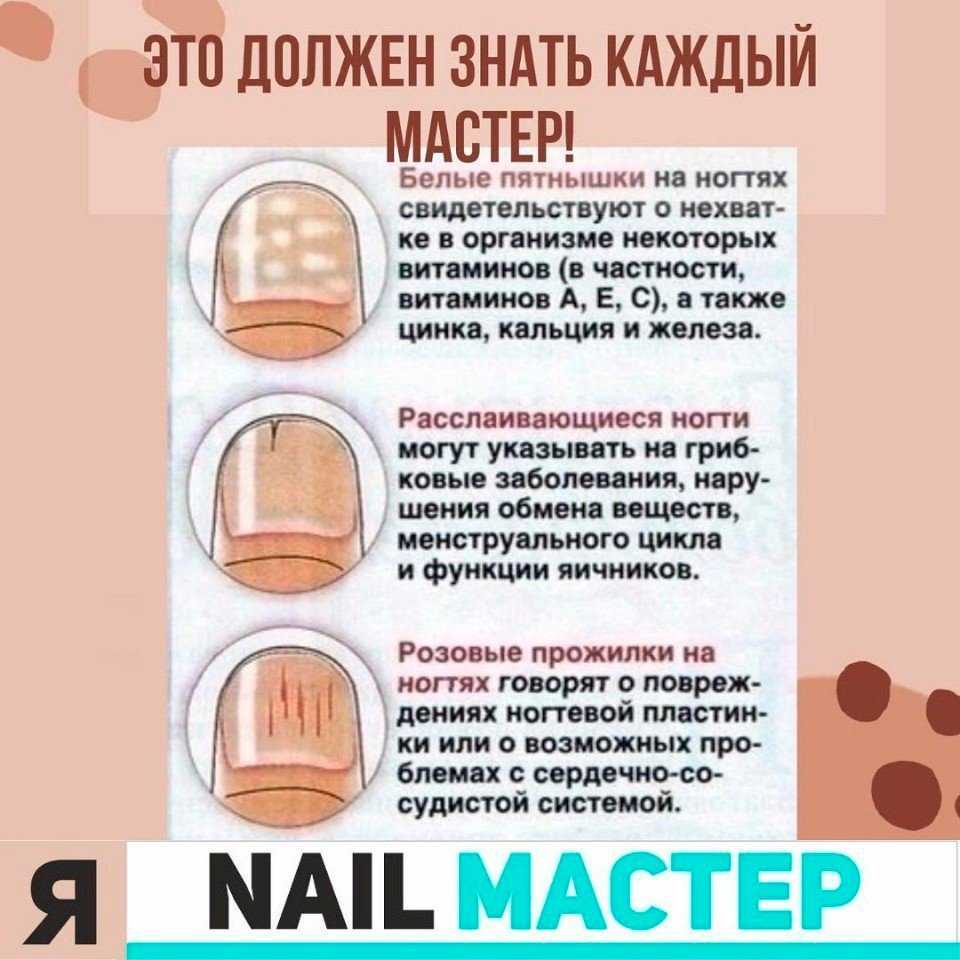 Что Нужно Купить Начинающему