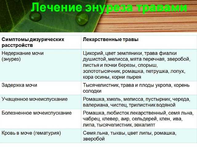 Энурез у подростков: патогенез, формы, диагностика и лечение