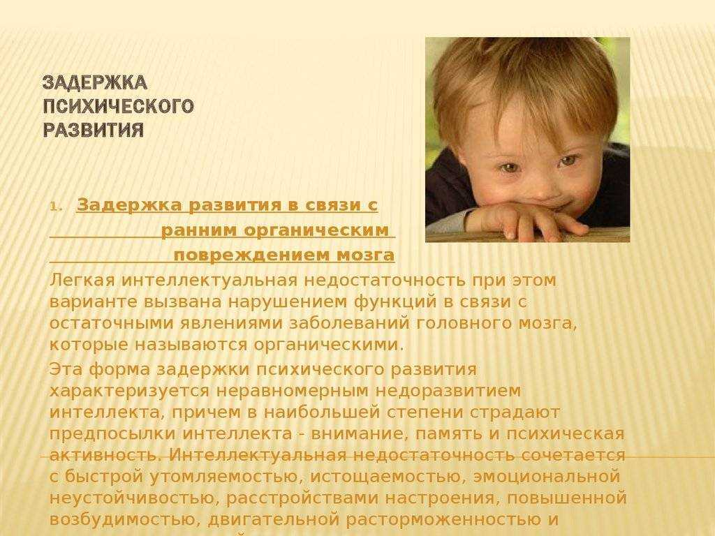 Обучение детей раннего возраста с психомоторной задержкой развития (зпр)